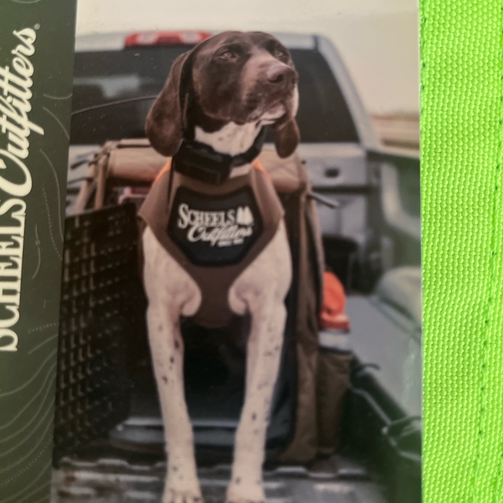 Dog Hunting Jacket - Neon Green
